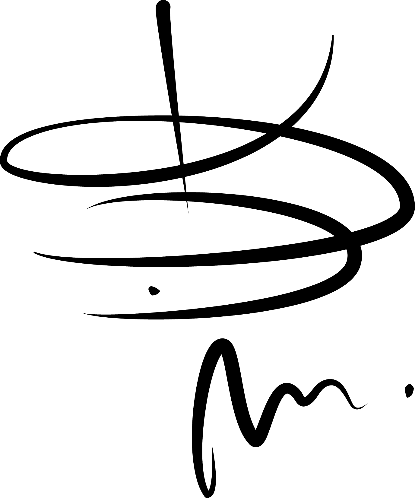 Подпись Паши Шохотим